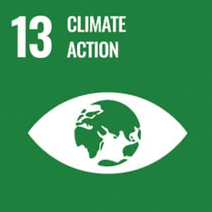 climate action green box