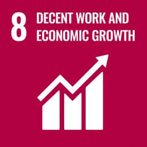 decent work economic growth burgundy box