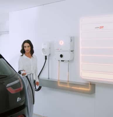 zeno best in class products